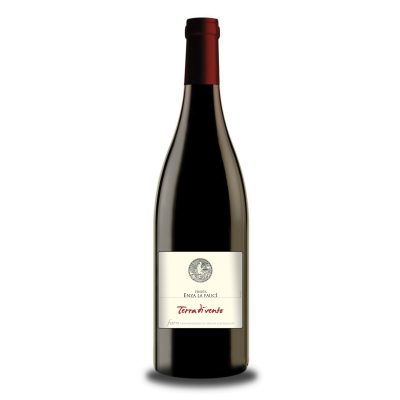 Terra di Vento - Sicily - Faro - Red Wine - Holy Wines - Malta's Leading Online Wine Store - Premium Wine