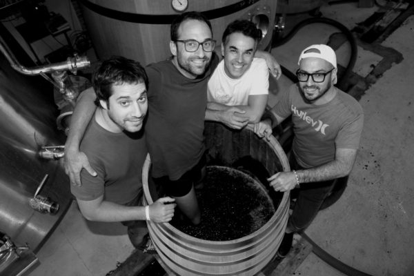 Buy Spanish Wine in Malta - Vina Zorzal - Navarra - Holy Wines - Garnacha - Red Wine