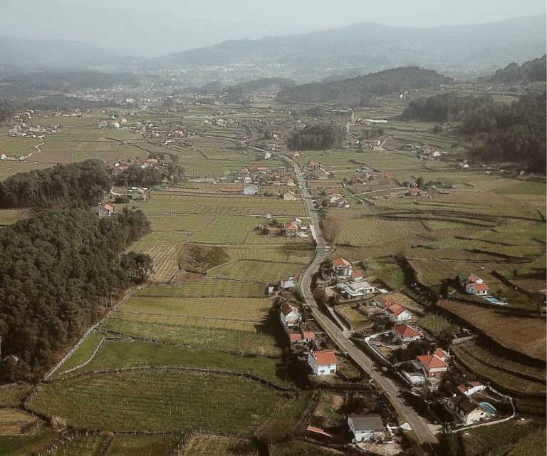 Soalheiro - Family - Portugal - Vinho Verde - Alvarinho - Holy Wines - Malta's Leading Vinho Verde Wine Store