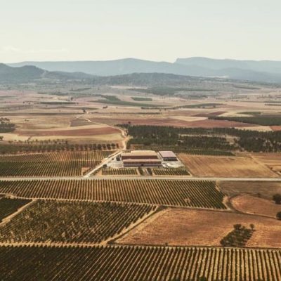 Altolandon - Manchuela - Spain - Organic - Vegan - Natural Wines - Holy Wines