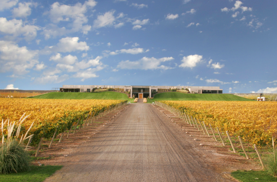 Bodega Malma - Nequen - Patagonia - Argentina - New World Wines - Holy Wines - Malta's Leading Online Wine Store