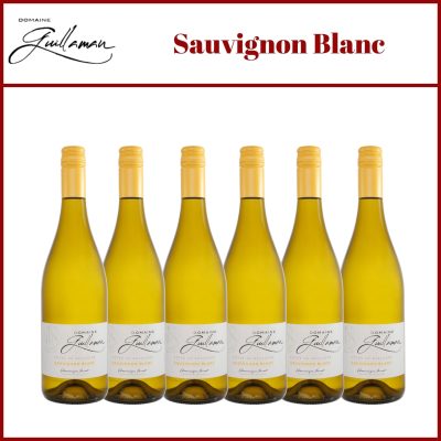 Guillaman - White Wine - Sauvignon Blanc - Cotes de Gascogne - Southwest France - Holy Wines