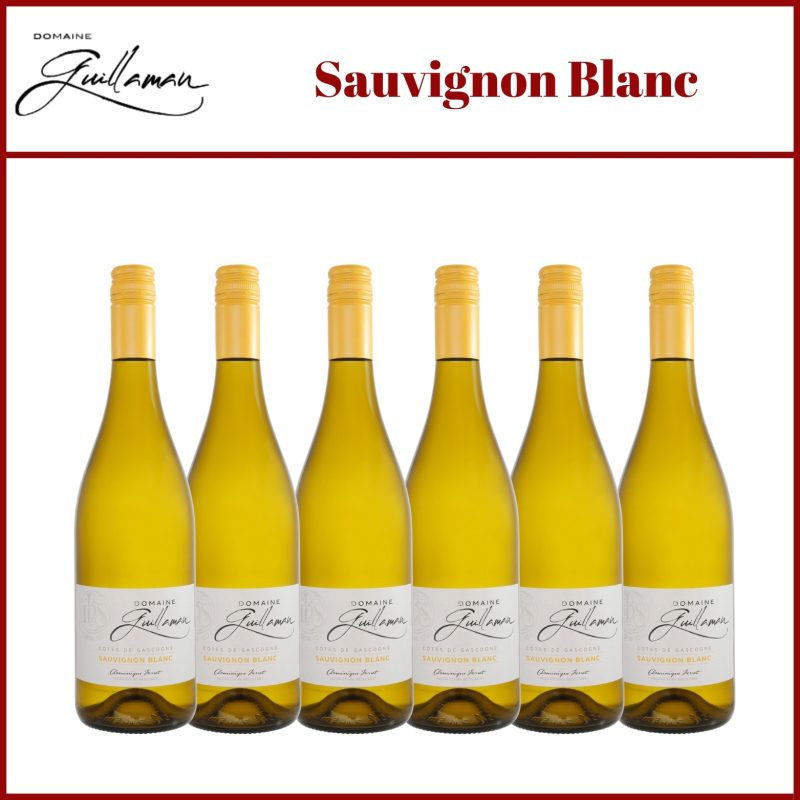 Guillaman - White Wine - Sauvignon Blanc - Cotes de Gascogne - Southwest France - Holy Wines