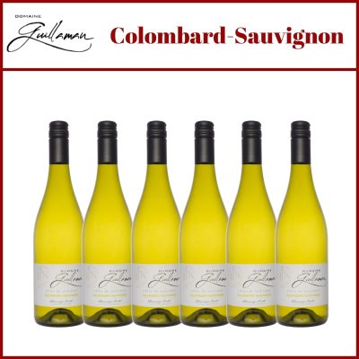 Guillaman - Colombard - Sauvignon Blanc - Cotes de Gascogne - Southwest France - Holy Wines