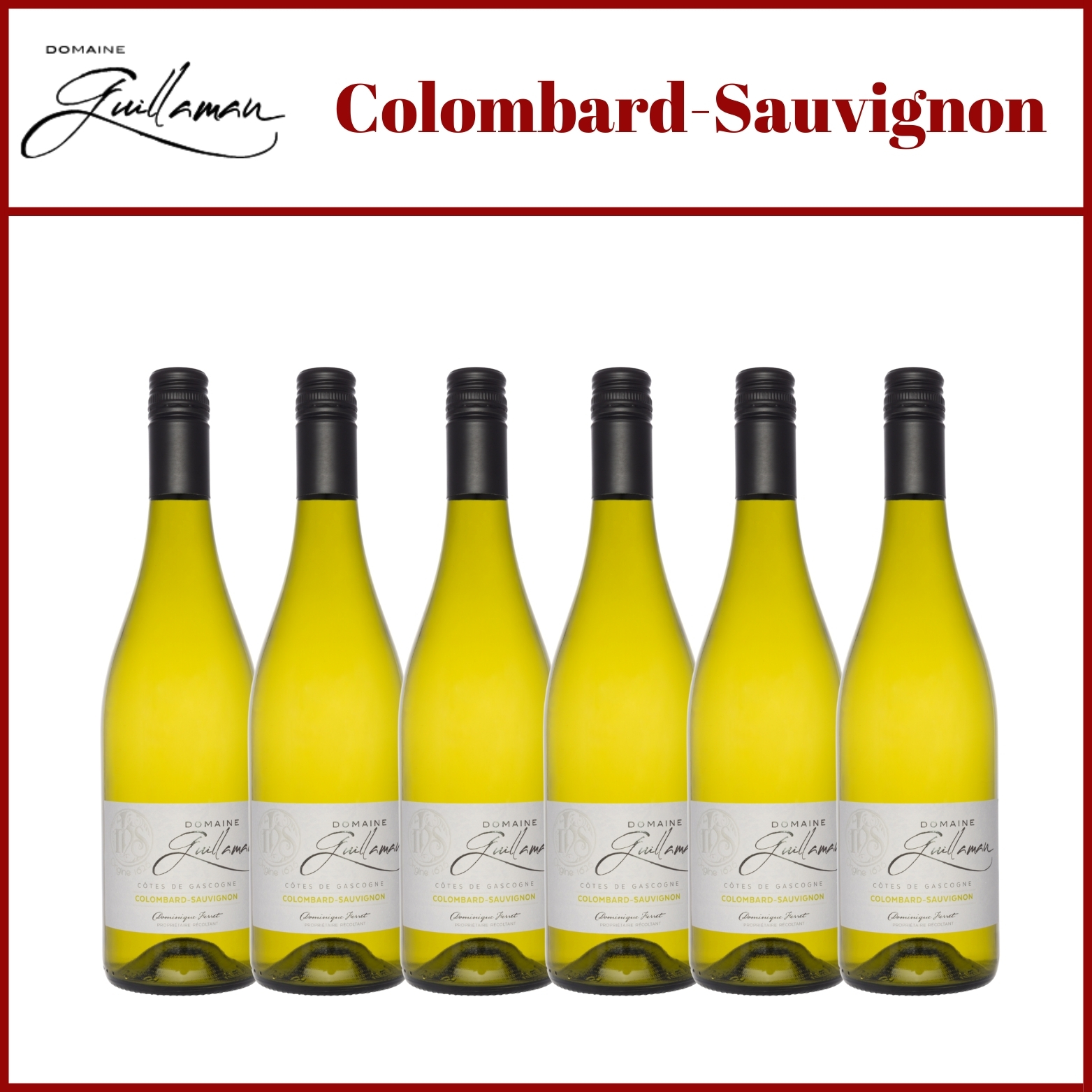 Guillaman - Colombard - Sauvignon Blanc - Cotes de Gascogne - Southwest France - Holy Wines